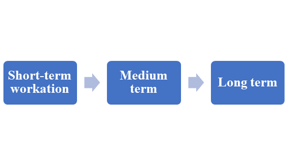 types of workation